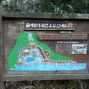 안산벚꽃음악회 이미지