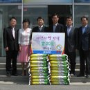 영월읍사무소 이미지