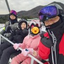 지산로6번길 | 지산포레스트 스키장 초등학생 스키 강습 후기 꿀팁!
