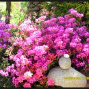 정다운휴게소 이미지