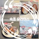 속초교동식자재마트(홈마트) | 속초 디저트 맛집 두쫀쿠보다 딸기모찌 유라이스❤️