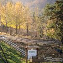 환영목장 이미지