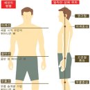 애룰바디 이미지