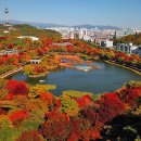 두류공원 이미지