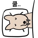 스테이 옹글 제주 이미지