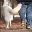 광주-송정-5 이미지