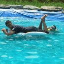 대가야센터-9 이미지