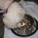 해옴동물병원 이미지