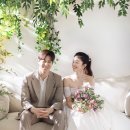 뉴청스튜디오 이미지