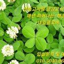 금강고시원] 밥 맛있어요 합격생 많고 공부하기 좋은 신축 산속 금강고시원 이미지