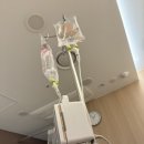 하누동물병원 | [출산] 양수터진 임산부의 유도분만 성공후기 (긴글주의)