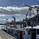 유명낚시 | [제주 여행] 체험배낚시 광명호 : 제주 서귀포 배낚시 방어지깅낚시 체험 솔직 후기 액티비티 강력 추천