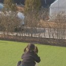 지영목장 | 파주 룰루목장 / 서울 인근 아기랑 체험목장 내 돈 내산 추천