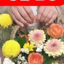 피어나라꽃 네이버블로그