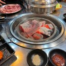 브라더갈매기