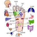 발건강마사지 이미지