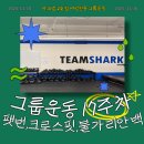 크로스핏 보라 | [서울/성북구] 샤크짐 2호점 여성전용 그룹운동 | 17주차 크로스핏 PT 후기