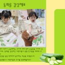 푸드오감 이미지