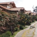 대포동산횟집 이미지