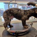 유스타 그루밍 이미지