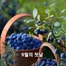 두 개의 바다 이미지