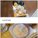 지에스25 화순능주점