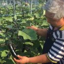 이창희농장 이미지