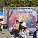 제35회 소요단풍문화제 이미지