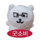 투슬래시포 피치크러쉬 내돈내산 가을 웜톤 23호 발색 후기