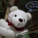 풍경7080라이브 Daum카페