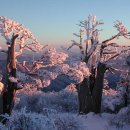 1월 15일(日)....태백산 이미지