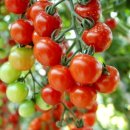 엠베이스짐 이미지