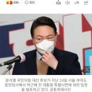 조원진 “박근혜 침묵할 듯…병명 밝혀지면 윤석열에 직격탄”/“아주 심각한 상태였다” 박근혜 사면 ‘건강상 이유’ 거듭 강조하는 민주당 이미지