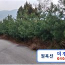 대둔주유소 네이버블로그