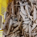 한삼농장 이미지