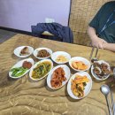 요거프레소녹동점