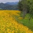 율곡우체국 이미지