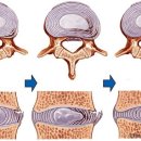 S&C 트레이닝 센터 이미지