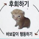 피에스타PC방 천안백석점 | 대학교 5학년의 6월 말