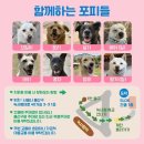 포해피