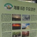 옥상달빛펜션 이미지