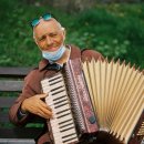 실버 스마트폰 활용법 배우기 이미지