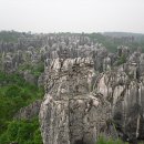 석림3로 이미지