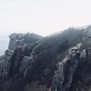 천지인상사 이미지