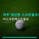 여주 대신면 스크린골프장 더스크린에스지골프 주차 편리+합리적 가격 안내