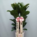 뱅갈PC방 이미지