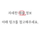 멍든램지