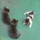 작고 소중해 이미지