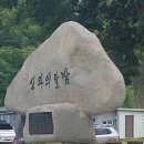 2025년 6월 13일 금요일 경주역 도착9시21분도착 터미널 시외버스 도착 10번 11번 탑승 불국사 도착 석굴암 버스이용 토함산 산 이미지
