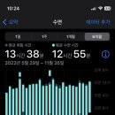 다래분식 - 마포구 마포대로 63-8 | 다래분식